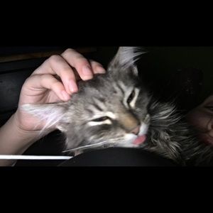 Meet your Posher, Rebecca